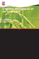 Lutte contre la tache brune du riz à l'aide d'agents biologiques et de fongicides (French Edition) 6209048013 Book Cover