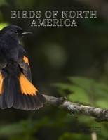 Birds of North America: A Birder's Year B0HK2JCT63 Book Cover