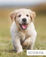 Notebook: Large College Ruled Notebook for Everyday Use Cute Golden Retriever Puppy 1691284742 Book Cover