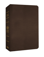 MEV Bible Giant Print Brown: Modern English Version 1629980749 Book Cover