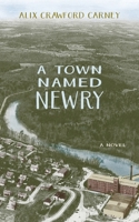 A Town Named Newry B0FMQ1JCZM Book Cover