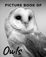 Picture Book of Owls: The Picture Book for Alzheimer's Patients and Seniors with Dementia. B08QFBH73V Book Cover
