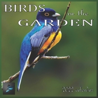 Birds in the Garden: 12 Month Mini Calendar from Jan 2022 to Dec 2022, Cute Gift Idea | Pictures in Every Month null Book Cover
