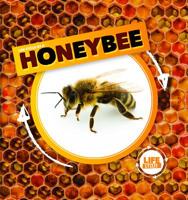 Life Cycle of a Honeybee 1534527273 Book Cover