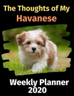 The Thoughts of My Havanese: Weekly Planner 2020 169698081X Book Cover