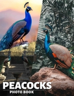 Peacocks Photo Book: Vibrant Displays Of Elegance Captured In 40 Stunning Images For Art Enthusiasts B0DQ3BPK16 Book Cover