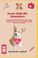 Erste Hilfe für Haustiere: Wenn Sie die Grundlagen der Ersten Hilfe und Herz-Lungen-Wiederbelebung bei Haustieren kennen, können Sie Notfälle sowie ... tierärztlichen Behandlun (German Edition) B0F3VP7VK6 Book Cover