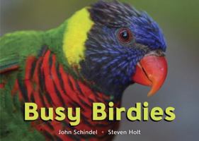 Busy Birdies 1582463174 Book Cover