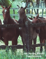 Just Horsing Around Lined Notebook: Wide Lined Notebook With Blank Sketch Pages Included - Great For Equine Lovers 170834392X Book Cover