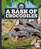 A Bask of Crocodiles 1503885062 Book Cover