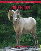 Mufflon: Sagenhafte Fakten und Bilder B08BDRB3PX Book Cover