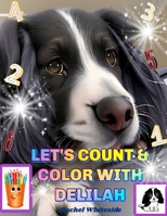 Let's Count & Color with Delilah: Coloring and Counting book. B0BV43M8F3 Book Cover