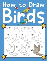 How To Draw Birds B0BVD1181G Book Cover