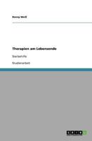 Therapien am Lebensende: Sterbehilfe 3638920151 Book Cover