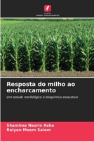 Resposta do milho ao encharcamento (Portuguese Edition) 6208240301 Book Cover