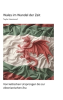Wales im Wandel der Zeit: Von keltischen Ursprüngen bis zur viktorianischen Ära (German Edition) 3384475909 Book Cover