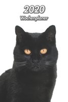 2020 Wochenplaner: Schwarze Hauskatze | 107 Seiten, 15cm x 23cm ca. A5 | Taschenkalender | Terminplaner | Tagebuch | Terminkalender | Organizer für Katzenliebhaber (German Edition) 1671985001 Book Cover