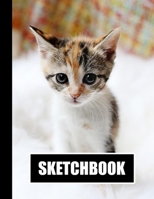 Sketchbook: Cute Kitten Cat Cover Design | White Paper | 120 Blank Unlined Pages | 8.5" X 11" | Matte Finished Soft Cover 1713237156 Book Cover