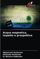 Acqua magnetica, impatto e prospettive 6203597341 Book Cover