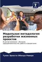 Модельная методология р& 6206977781 Book Cover