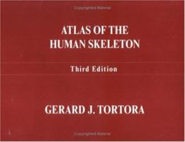 A Brief Atlas of the Skeleton Surface Anatomy, and Selected Medical Images