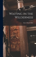 Waiting in the Wilderness 1018546707 Book Cover