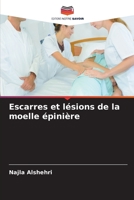 Escarres et lésions de la moelle épinière 6205728605 Book Cover