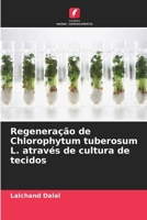 Regeneração de Chlorophytum tuberosum L. através de cultura de tecidos (Portuguese Edition) 6209873197 Book Cover