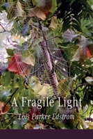 A Fragile Light B0FBGCX6KH Book Cover