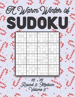 A Warm Winter of Sudoku 16 x 16 Round 3: Medium Volume 5: Sudoku for Relaxation Winter Travellers Puzzle Game Book Japanese Logic Sixteen Numbers Math ... Level All Ages Kids to Adults Christmas Gifts B08SKRSNXM Book Cover