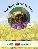 The Busy World of Bees: First Grade Facilitators Guide 1469671875 Book Cover