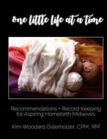 One Little Life at a Time 1645500640 Book Cover