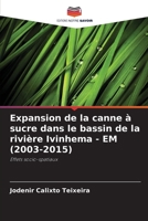 Expansion de la canne à sucre dans le bassin de la rivière Ivinhema - EM (2003-2015) (French Edition) 6208595274 Book Cover