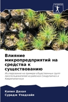 Влияние микропредприят&# 6207039343 Book Cover