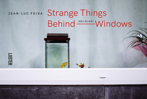 Strange Things Behind Belgian Windows 9460582710 Book Cover