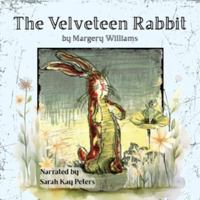 The Velveteen Rabbit B0HDFPG9GJ Book Cover