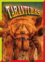 Tarantulas 1644660245 Book Cover