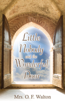 Little Nobody and the Wonderful Door 160178046X Book Cover