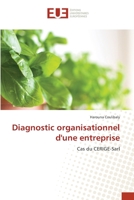 Diagnostic organisationnel d'une entreprise: Cas du CERIGE-Sarl 6203422126 Book Cover