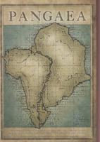 Pangaea: New Art from Africa & Latin America 1909413054 Book Cover