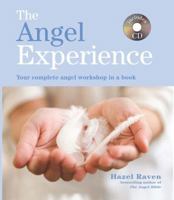 The Angel Experience: Your Complete Angel Workshop Book with Audio Downloads 1841813931 Book Cover