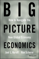 Big Picture Economics: How to Navigate the New Global Economy 0470641819 Book Cover