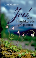 Joel och Handskeryds grå pantrar: En berättelse om vänskap på ålderns höst (Swedish Edition) 918080991X Book Cover