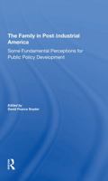 The Family in Postindustrial America: Some Fundamental Perceptions for Public Policy Development 0367307529 Book Cover