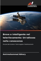 Breve e intelligente nel telerilevamento: Un'odissea nella conoscenza: Dai pixel alle intuizioni: Padroneggiare il telerilevamento (Italian Edition) 6207582306 Book Cover