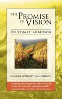 The Promise of Vision 098708917X Book Cover