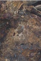 Borderlands 1931885427 Book Cover