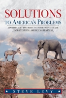 Solutions to America's Problems : A Politically Incorrect Conservative's Take on Maintaining America's Greatness 164990214X Book Cover