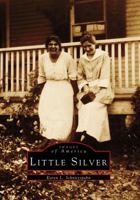 Little Silver 0738563587 Book Cover
