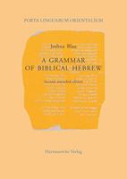 A grammar of biblical Hebrew (Porta linguarum Orientalium : Neue Serie) 3447033622 Book Cover